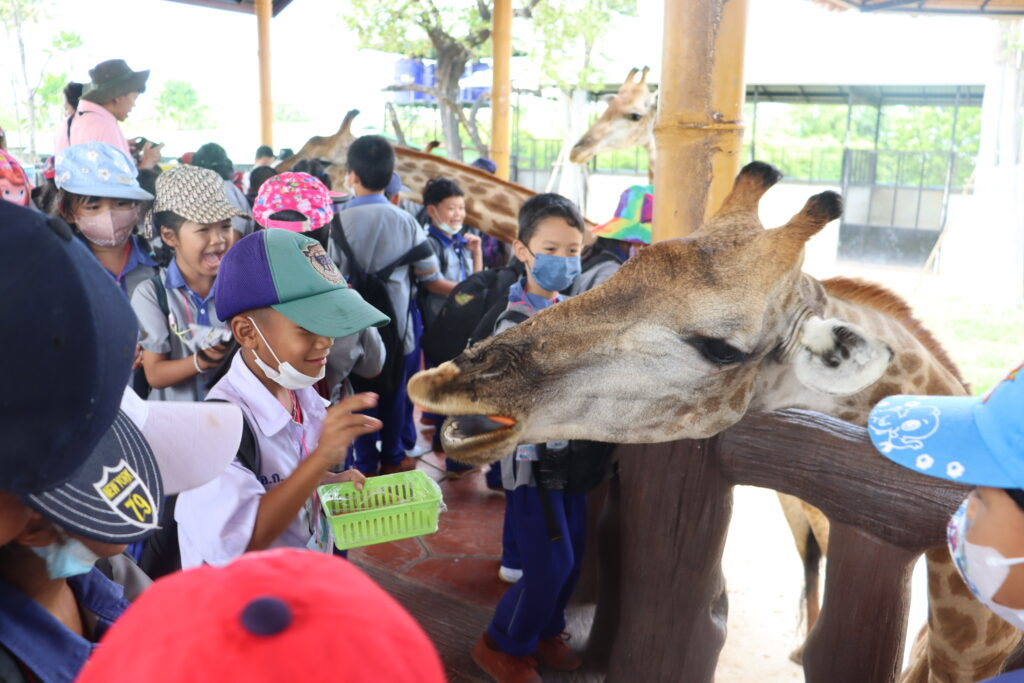 กิจกรรมทัศนศึกษาประถมศึกษาปีที่ 2